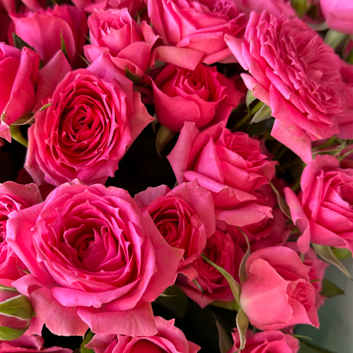 Монобукет из кустовой розы 19 веток - фото 2