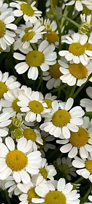 Программа лояльности