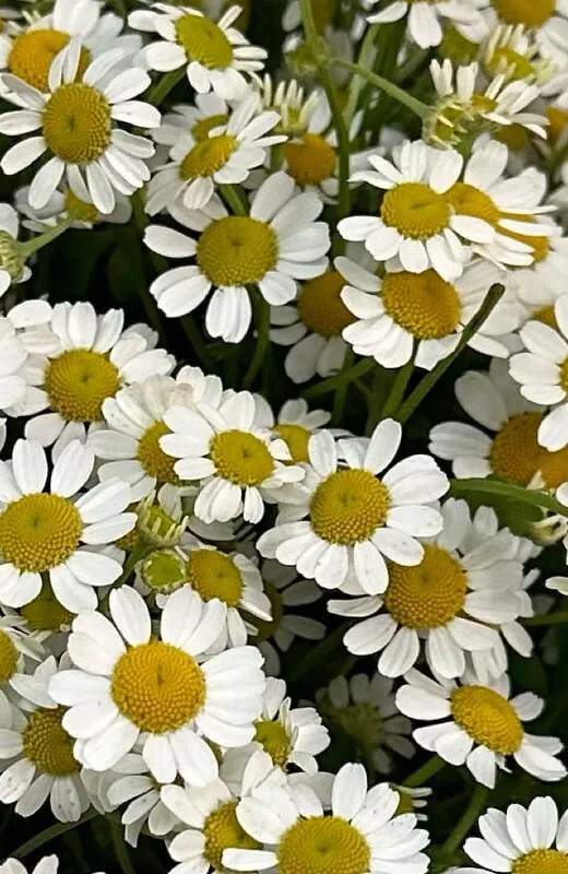 Программа лояльности