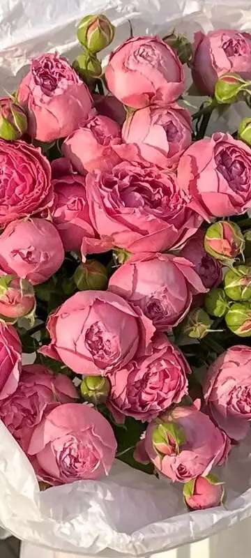 Цветочные букеты