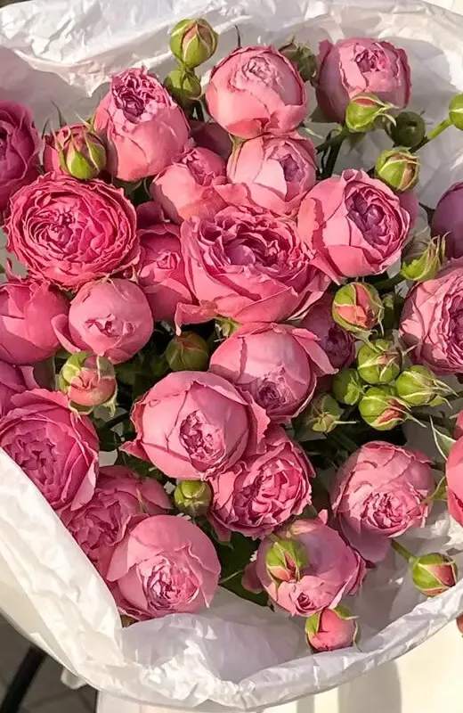 Цветочные букеты